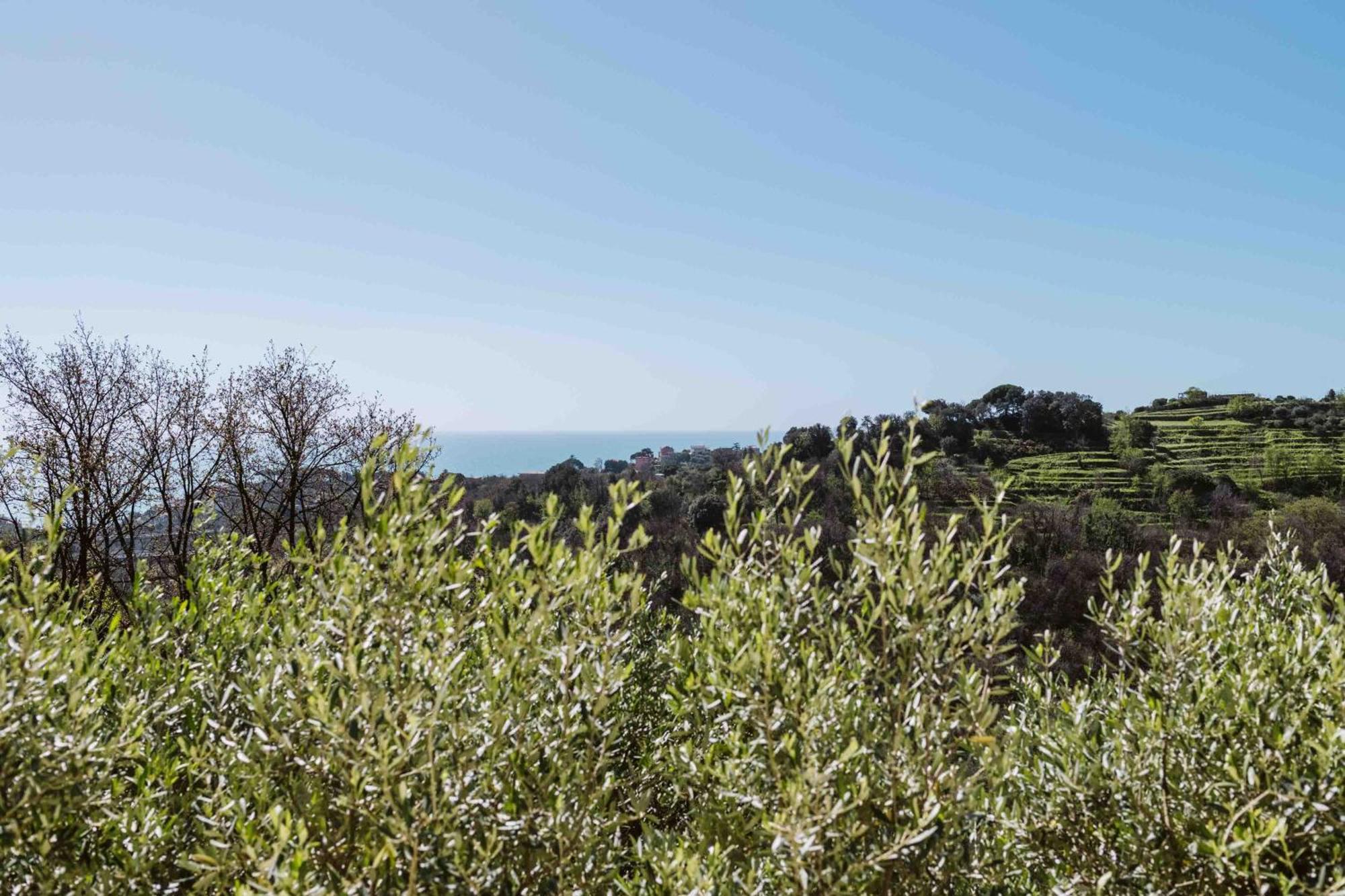 Abc Affittacamere Celle Ligure Luaran gambar